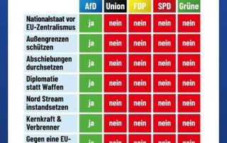 AfD_EU-Wahl_2024_Positionen